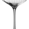 Leonardo Champagnerschale POESIA 260 Ml Grau 10