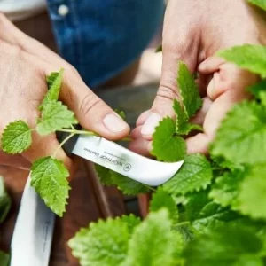 Wüsthof Machete Urban Farmer 9