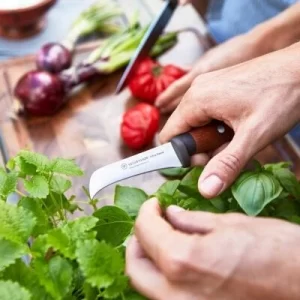 Wüsthof Machete Urban Farmer 15